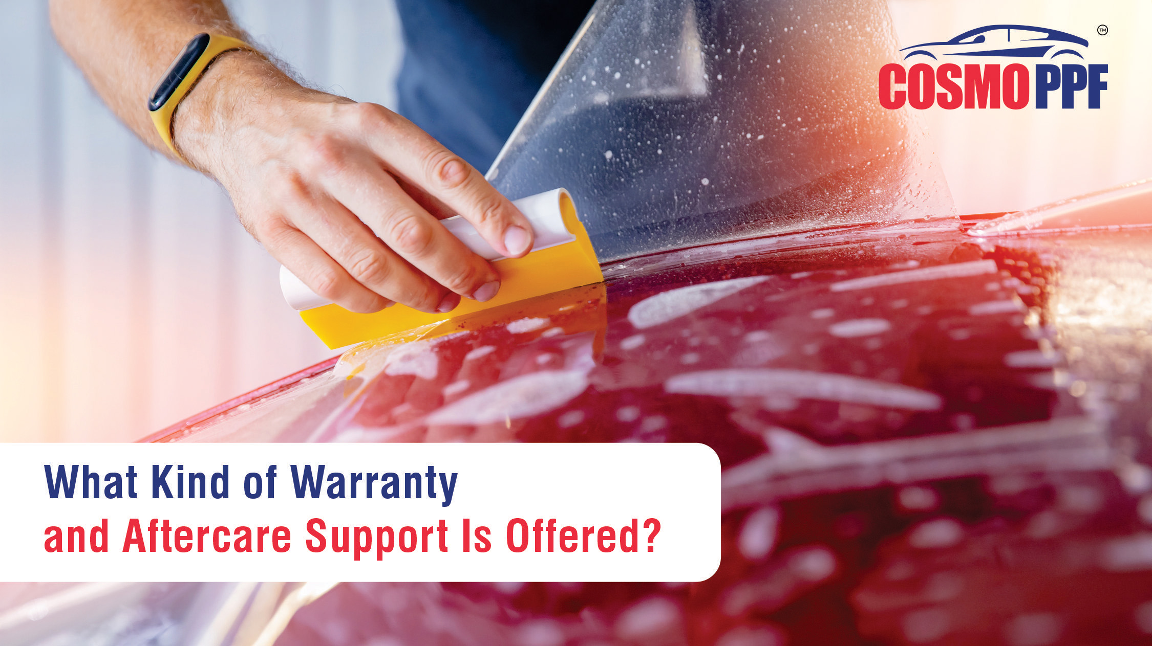 Top 5 Questions to Ask Before Getting PPF Installed on Your Car